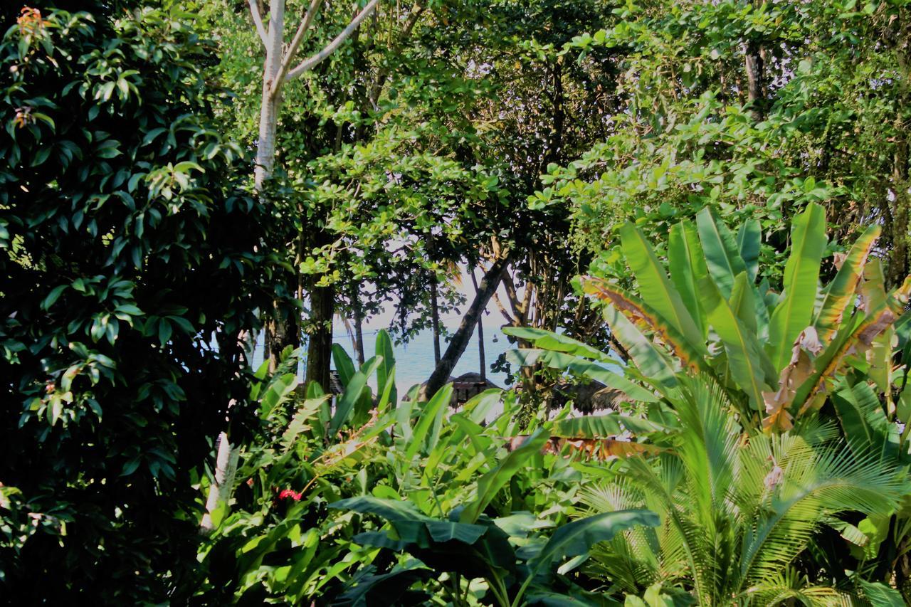 Casa Natural Puerto Viejo Hotel Puerto Viejo de Talamanca Eksteriør billede