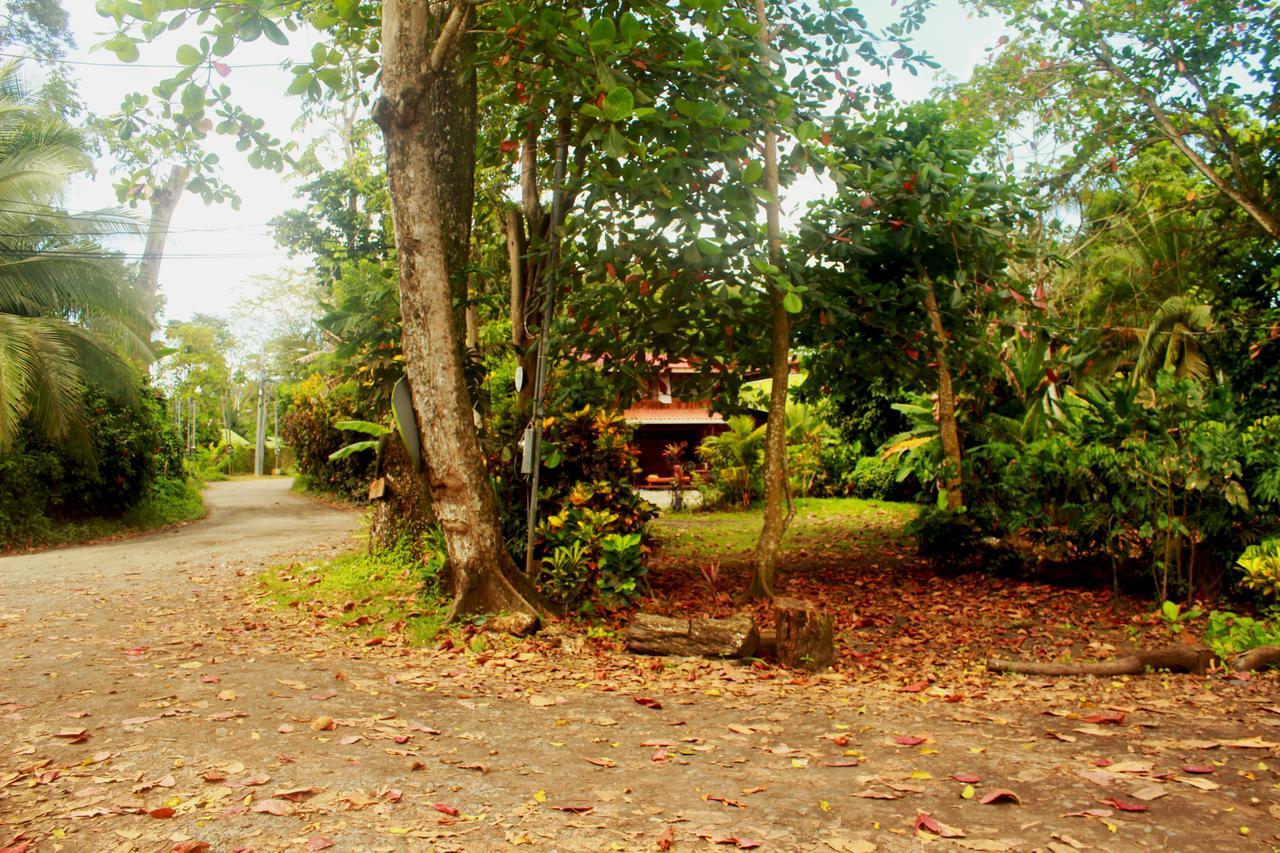Casa Natural Puerto Viejo Hotel Puerto Viejo de Talamanca Eksteriør billede